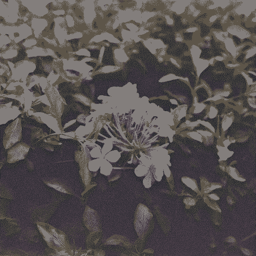 Blue flowers on a background of green leaves