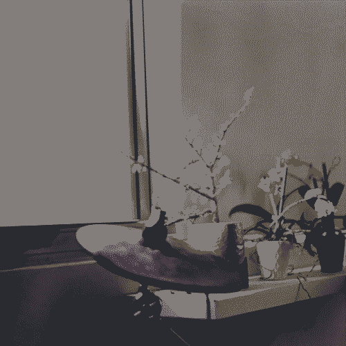 Analog photograph taken on color film. Shows a side view of a windowsill with two guillotine windows from the inside of a house. One of them fully open and the other is fully closed with a blackout curtain in front. This image is almost a side view of the windows. A soft yellow light enters through the open window. A small shelf protrudes from the windowsill with four plants on them all with different shapes and sizes of pots. One of them is a jade bonsai the other three are orchids, the orchids are in the shadow of the closed window. A drumming cymbal is seen in the foreground of the shot implying that there is a drumset out of frame, further confirmed by another cymbal in the background.