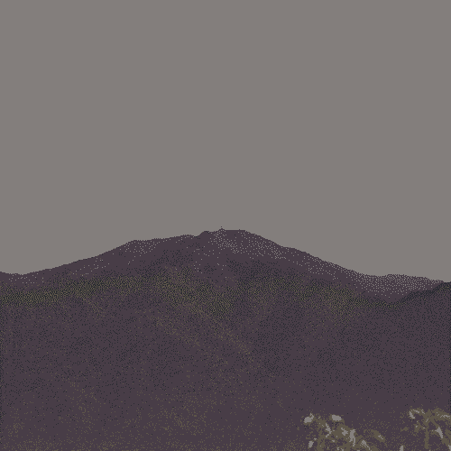 The view from the top of El Yunque