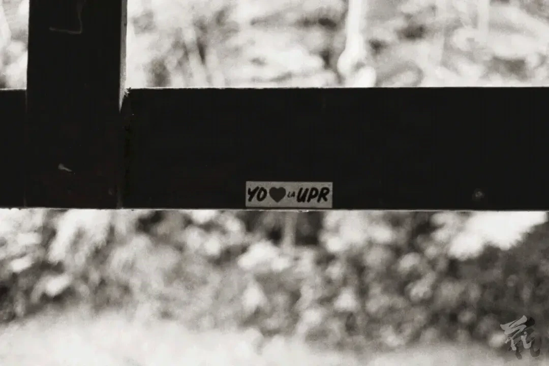 A black and white analog photograph showing the top of a wooden beam in the foreground. On the wooden beam, in the center of the image a whitr sticker with the text "YO ❤️ la UPR" (EN: I LOVE THE UPR). The background is far away and out of focus.